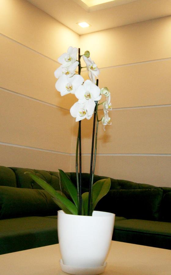 Apartment Jasmine 2 Belgrade Luaran gambar